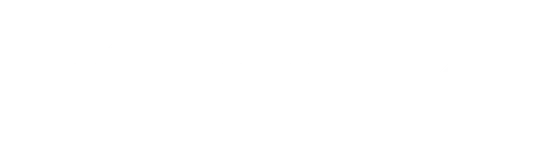 Partner 2